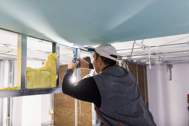 Best Insulation Contractors for Homes  in St Louis Park, MN