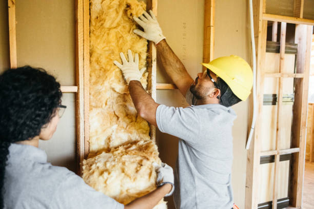 Insulation Replacement Services in St Louis Park, MN